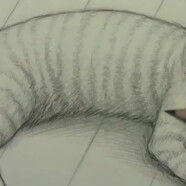Mark Crilley漫画教程102:猫的画法